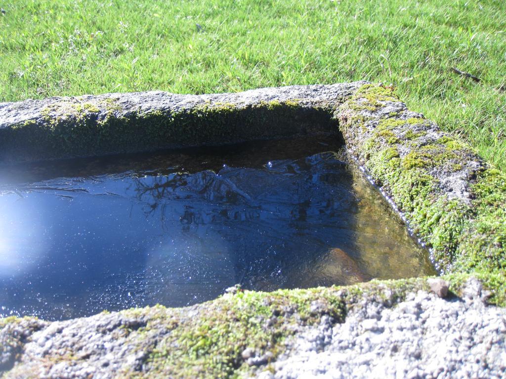 Candeias Do Souto Bragança Екстериор снимка